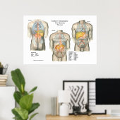 Poster d'anatomie sur la topographie humaine (Bureau à domicile)