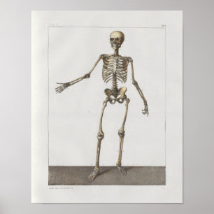Poster D'anatomie vintage squelettique de 1867 copie