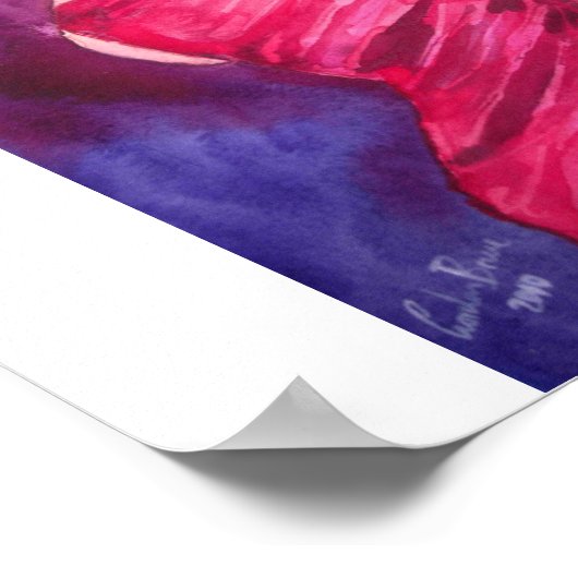 POSTER DANCER FLAMENCO (Coin)