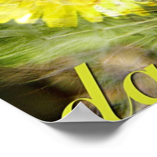 Poster Dandelion (Coin)