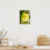 Poster Dandelion (Cuisine)