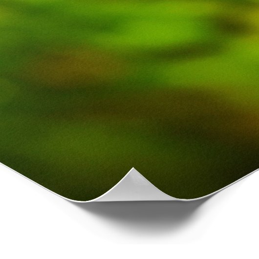 Poster Dandelion, (Coin)