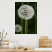Poster Dandelion (Cuisine)
