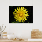 Poster Dandelion (Cuisine)