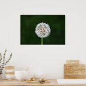 Poster Dandelion, (Cuisine)