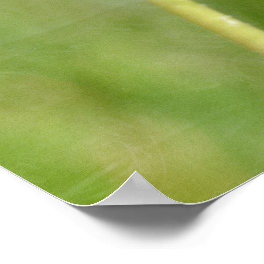 Poster Dandelion (Coin)