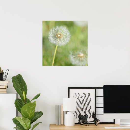 Poster Dandelion (Bureau à domicile)