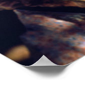 Poster Dandelion (Coin)