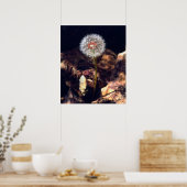 Poster Dandelion (Cuisine)