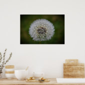 Poster Dandelion, (Cuisine)