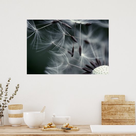 Poster Dandelion (Cuisine)