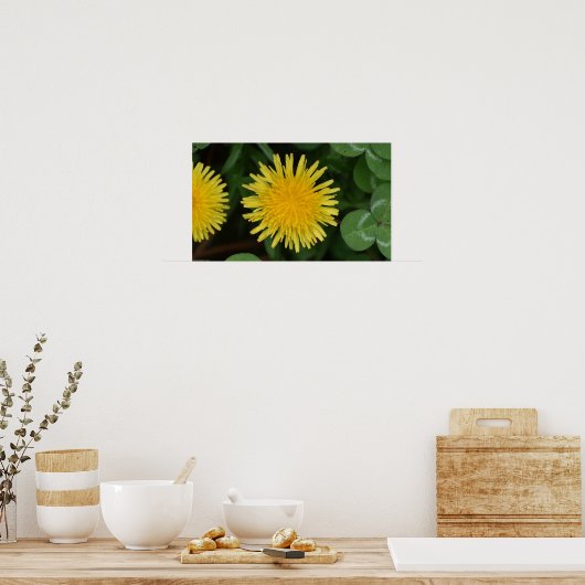 Poster Dandelion, (Cuisine)
