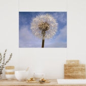 Poster Dandelion (Cuisine)