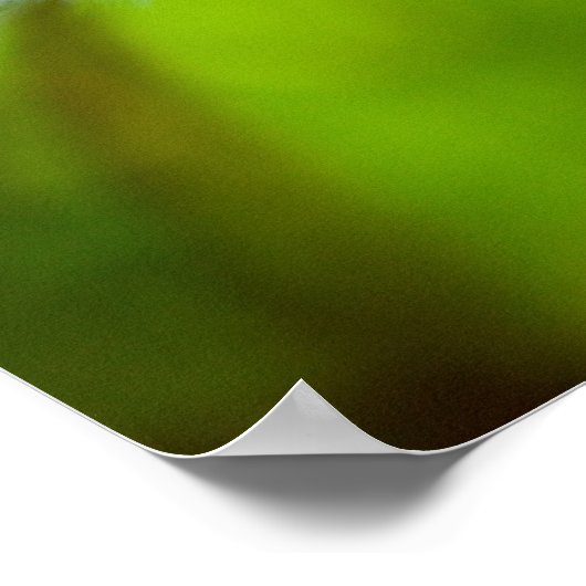 Poster Dandelion (Coin)