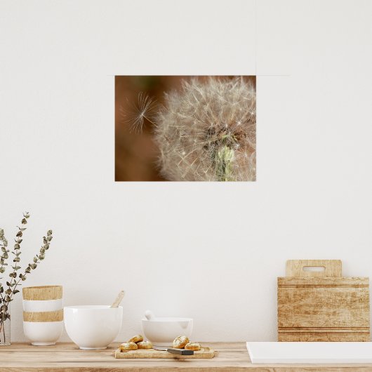 Poster Dandelion (Cuisine)