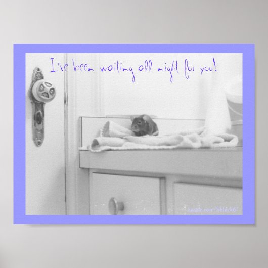 Poster Dandelion (Devant)