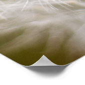 Poster Dandelion (Coin)