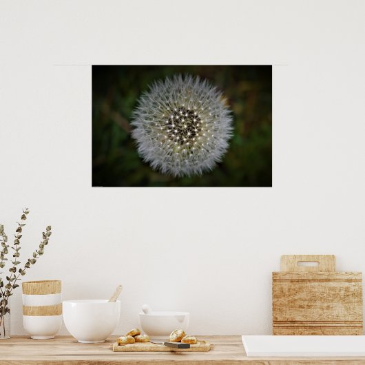 Poster Dandelion, (Cuisine)
