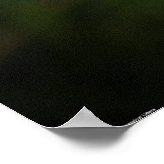 Poster Dandelion, (Coin)