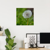Poster Dandelion (Bureau à domicile)