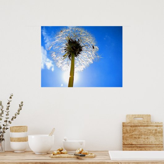 Poster Dandelion (Cuisine)