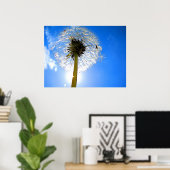 Poster Dandelion (Bureau à domicile)