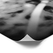 Poster Dandelion, (Coin)