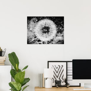 Poster Dandelion,