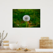 Poster Dandelion, (Cuisine)
