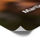 Poster Dandelion (Coin)