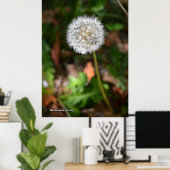 Poster Dandelion (Bureau à domicile)