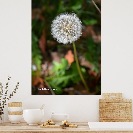 Poster Dandelion (Cuisine)
