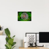 Poster Dandelion, (Bureau à domicile)