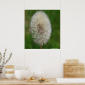 Poster Dandelion Ballerina par Celeste Sheffey (Cuisine)