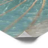 Poster Dandelion blanc en gros plan photographie (Coin)