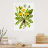Poster Dandelion commun — Sue Abonyi (Cuisine)