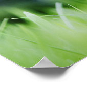 Poster Dandelion dans la prairie (Coin)