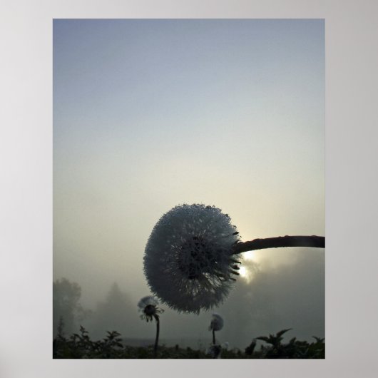 Poster Dandelion Dawn (Devant)