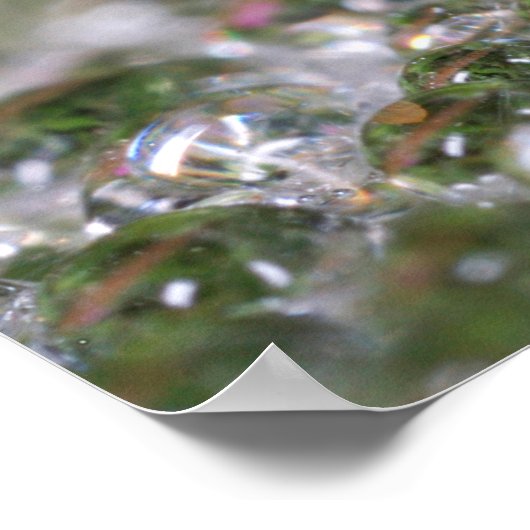 Poster Dandelion délicat Abstrait (Coin)