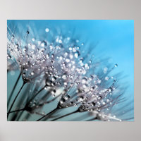 Dandelion Dew Sparkling Sky Blue Arrière - plan