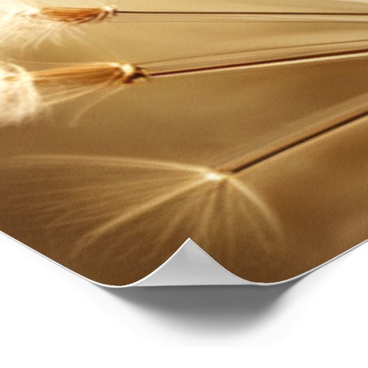 Poster Dandelion Dreams III (Coin)