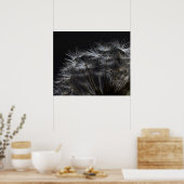 Poster Dandelion en noir (Cuisine)