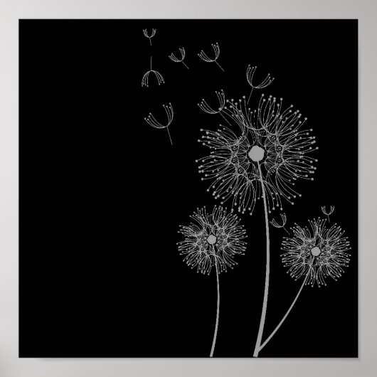 Poster Dandelion fleur noir et blanc art (Devant)