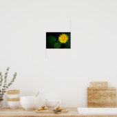 Poster Dandelion Flower (Cuisine)