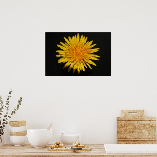 Poster Dandelion Flower wapcn (Cuisine)