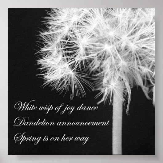 Poster Dandelion Haiku (Devant)