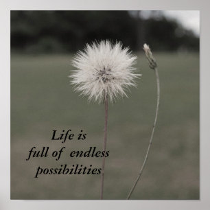 Poster Dandelion Inspirationnel - Personnalisé... - Custo