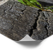 Poster Dandelion jaune au printemps (Coin)