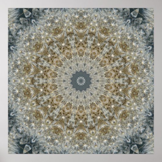 Poster Dandelion Mosaic Nov 2012 (Devant)