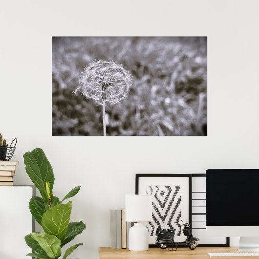 Poster Dandelion - Noir, (Bureau à domicile)